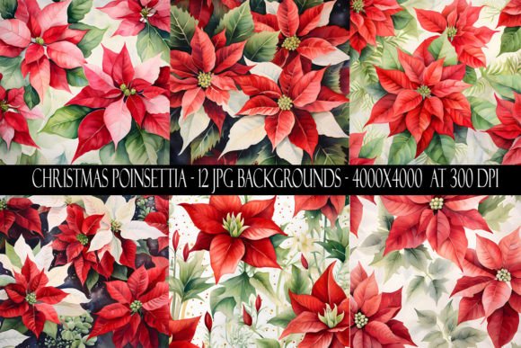 Elevate Your Holiday Designs with Christmas Poinsettia Backgrounds